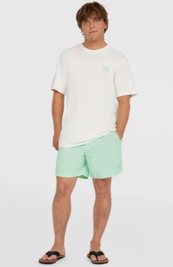 HerenO'Neill Vert 16'' zwembroek| Groen
