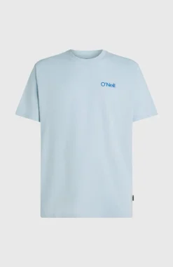 HerenPolygiene Cotton Graphic T-shirt| Blauw