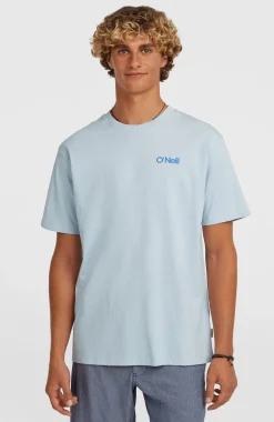 HerenPolygiene Cotton Graphic T-shirt| Blauw