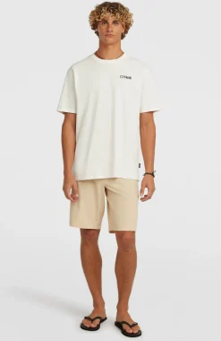 HerenPolygiene Cotton Graphic T-shirt| Wit