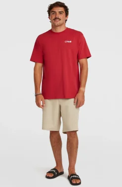 HerenPolygiene Cotton Graphic T-shirt| Rood