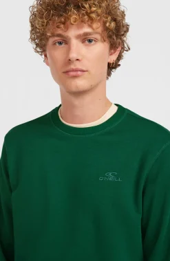 HerenSmall Logo Crew sweater| Groen