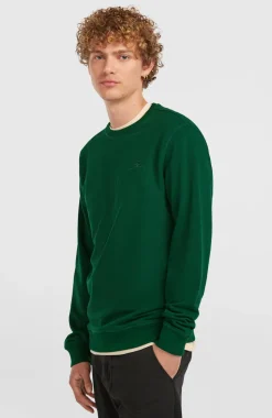 HerenSmall Logo Crew sweater| Groen