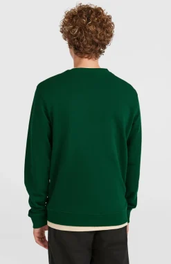 HerenSmall Logo Crew sweater| Groen