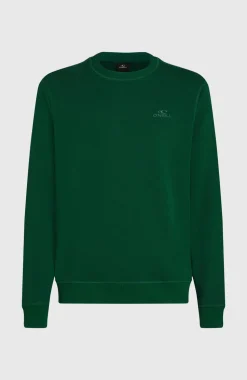 HerenSmall Logo Crew sweater| Groen