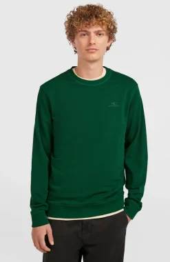 HerenSmall Logo Crew sweater| Groen