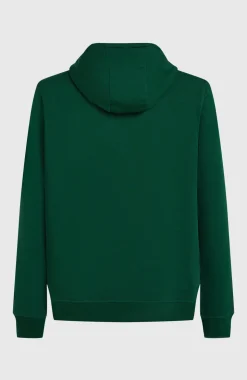 HerenSmall Logo hoodie| Groen