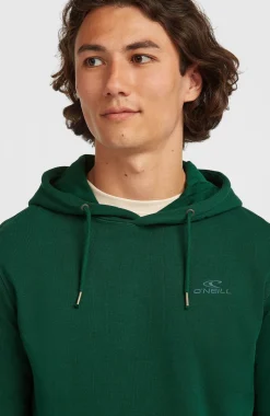 HerenSmall Logo hoodie| Groen