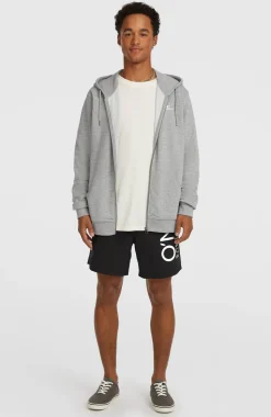 HerenSmall Logo hoodie met volledige rits| Grijs