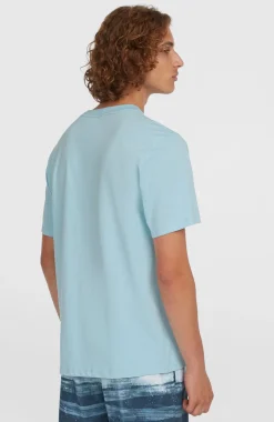 HerenStripe T-shirt| Blauw