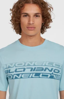 HerenStripe T-shirt| Blauw
