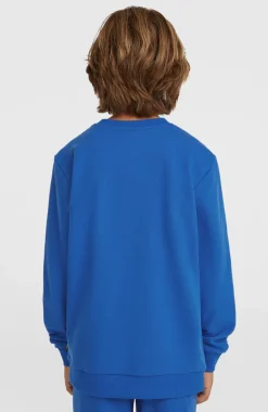 KidsCali Crew sweater| Blauw