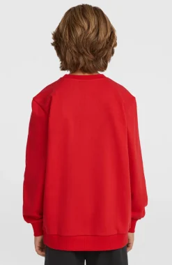 KidsCali Crew sweater| Rood