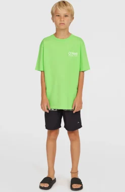 KidsCali Stripe 14'' zwembroek| Groen