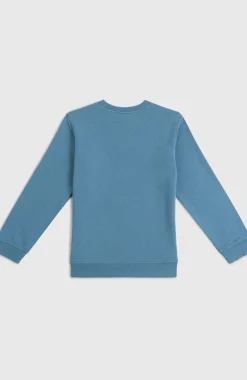 KidsEssentials Crew sweater| Blauw