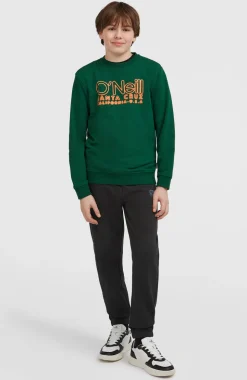 KidsEssentials Crew sweater| Groen