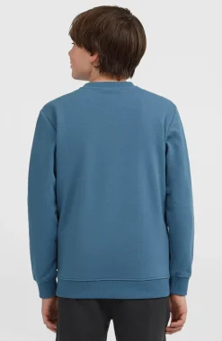 KidsEssentials Crew sweater| Blauw
