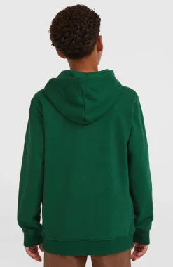 KidsEssentials hoodie| Groen