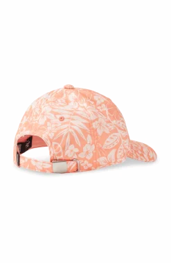 Seacoast pet| Oranje