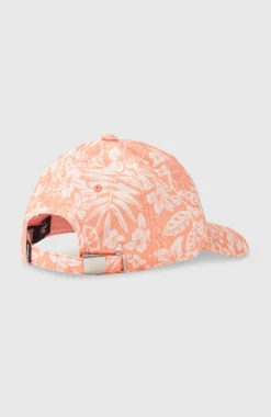 Seacoast pet| Oranje